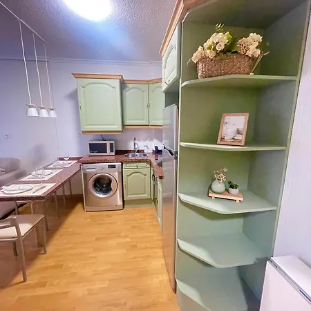 アパート Centrico Con Parking Www Venaoviedo Es